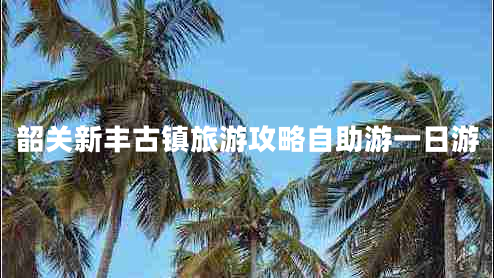 韶關(guān)新豐古鎮旅游攻略自助游一日游