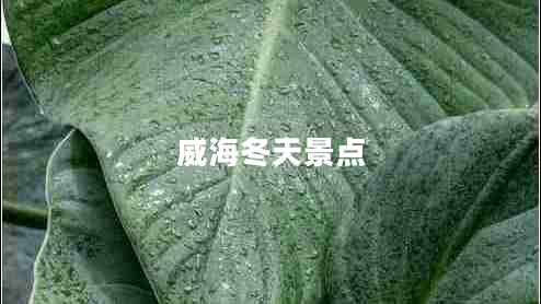 威海冬天景點(diǎn)