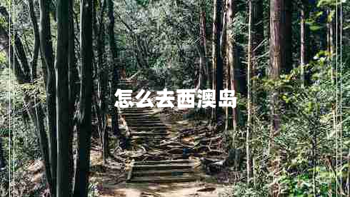 怎么去西澳島