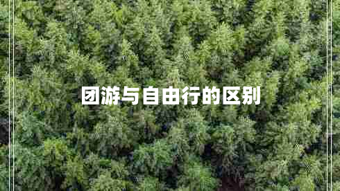 團游與自由行的區別