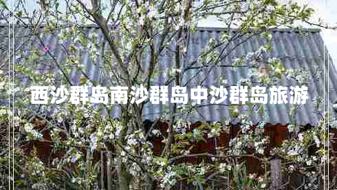 西沙群島南沙群島中沙群島旅游