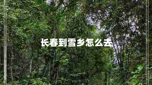 長(cháng)春到雪鄉怎么去