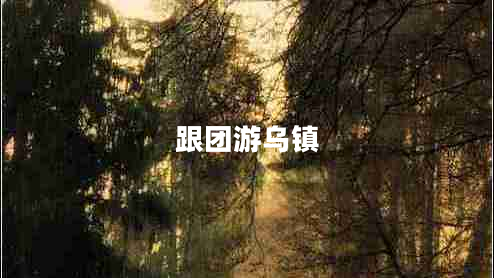 跟團游烏鎮