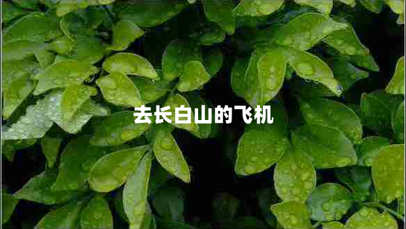 去長(cháng)白山的飛機