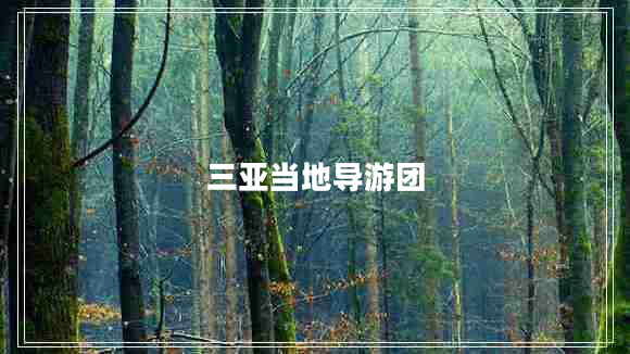 三亞當地導游團
