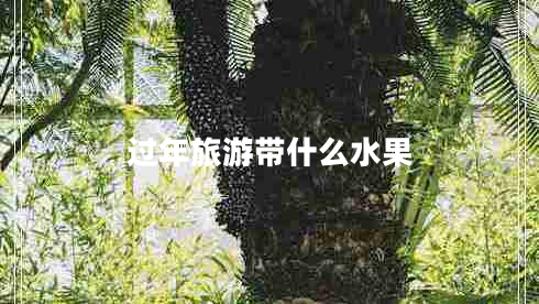 過(guò)年旅游帶什么水果