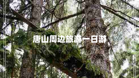 唐山周邊旅游一日游