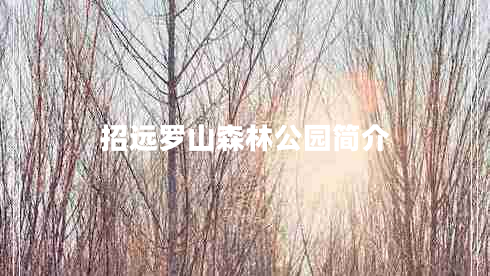 招遠羅山森林公園簡(jiǎn)介