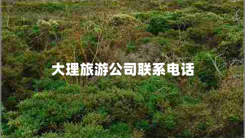 大理旅游公司聯(lián)系電話(huà)