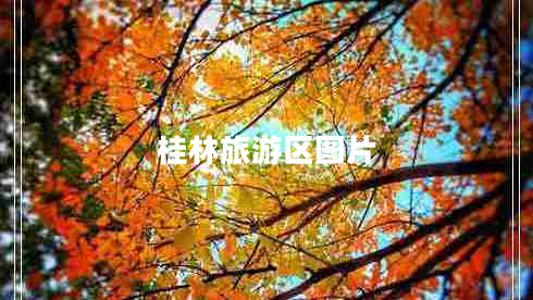 桂林旅游區圖片