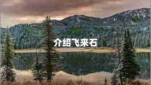 介紹飛來石