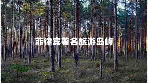 菲律賓著(zhù)名旅游島嶼