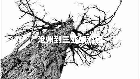 滄州到三亞旅游團