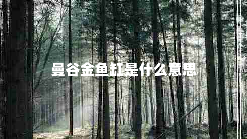 曼谷金魚(yú)缸是什么意思
