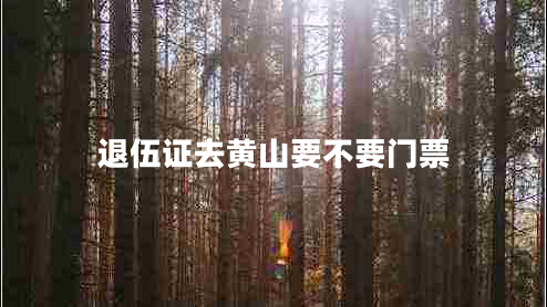 退伍證去黃山要不要門(mén)票
