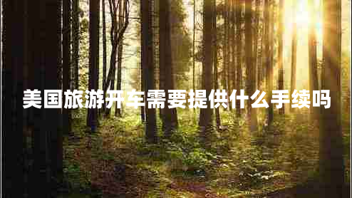 美國旅游開(kāi)車(chē)需要提供什么手續嗎