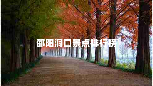 邵陽(yáng)洞口景點(diǎn)排行榜