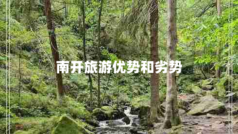 南開(kāi)旅游優(yōu)勢和劣勢