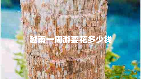 越南一周游要花多少錢(qián)