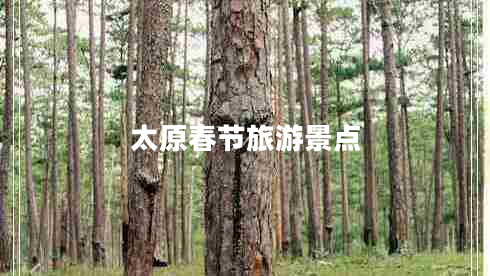 太原春節旅游景點(diǎn)