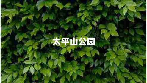 太平山公園