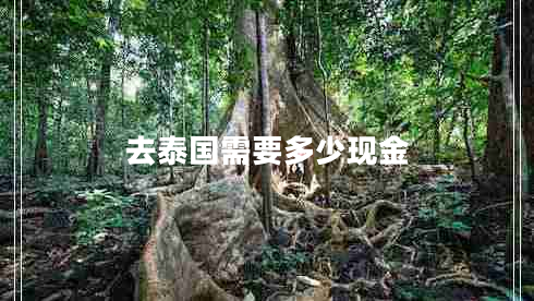 去泰國需要多少現金