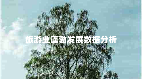 旅游業(yè)蓬勃發(fā)展數據分析