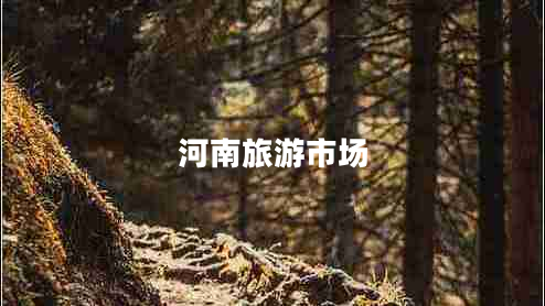 河南旅游市場(chǎng)