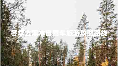 冬季去黑水自駕車(chē)旅游攻略路線(xiàn)
