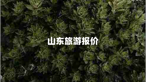 山東旅游報價(jià)