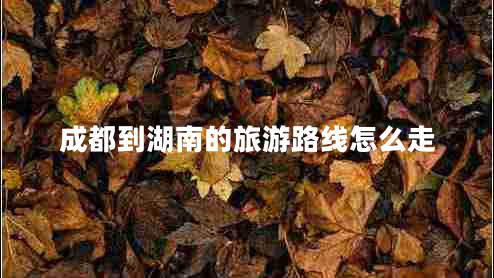 成都到湖南的旅游路線(xiàn)怎么走