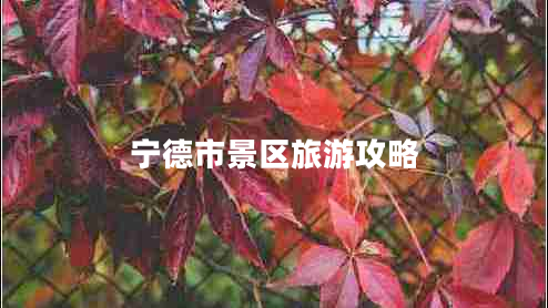 寧德市景區旅游攻略