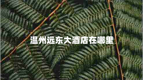 溫州遠東大酒店在哪里