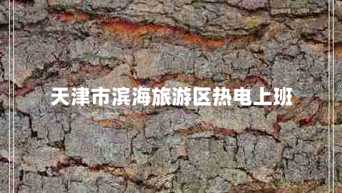 天津市濱海旅游區熱電上班