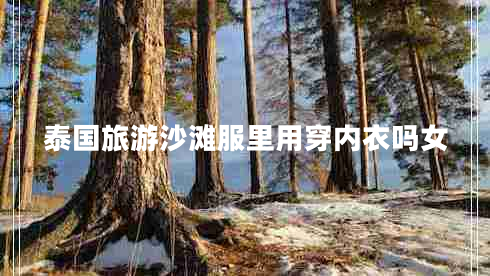 泰國旅游沙灘服里用穿內衣嗎女