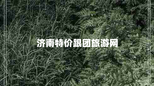 濟南特價(jià)跟團旅游網(wǎng)