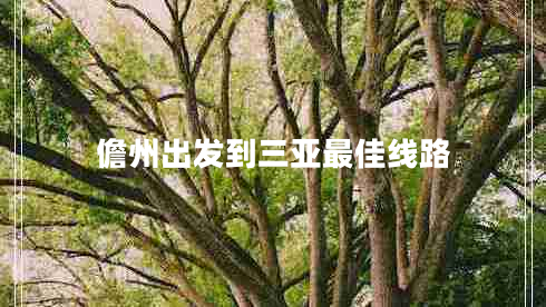 儋州出發(fā)到三亞最佳線(xiàn)路