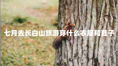 七月去長(cháng)白山旅游穿什么衣服和鞋子