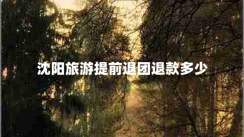沈陽(yáng)旅游提前退團退款多少