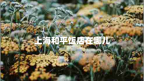 上海和平飯店在哪兒