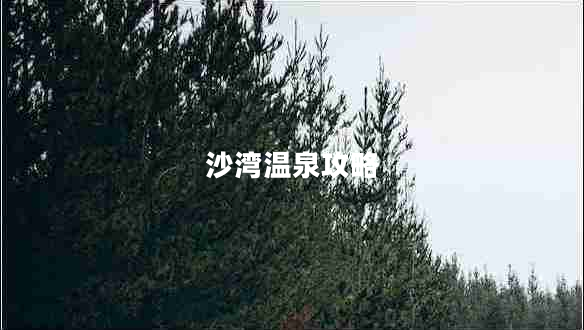 沙灣溫泉攻略