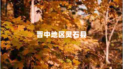 晉中地區靈石縣