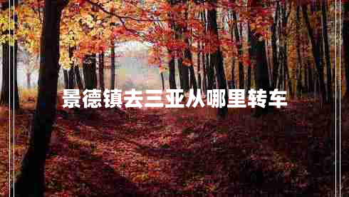景德鎮去三亞從哪里轉車(chē)