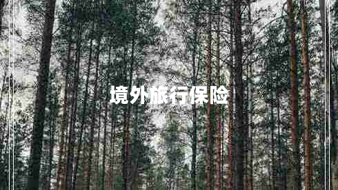 境外旅行保險