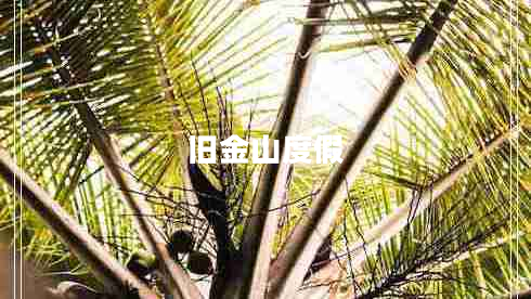 舊金山度假