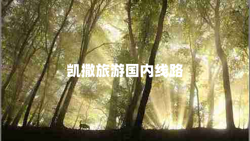 凱撒旅游國內線(xiàn)路