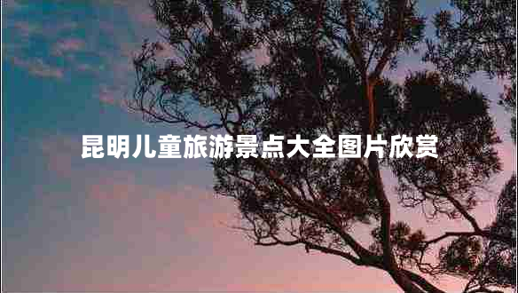 昆明兒童旅游景點(diǎn)大全圖片欣賞