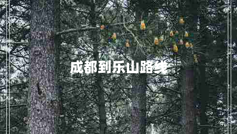 成都到樂(lè )山路線(xiàn)