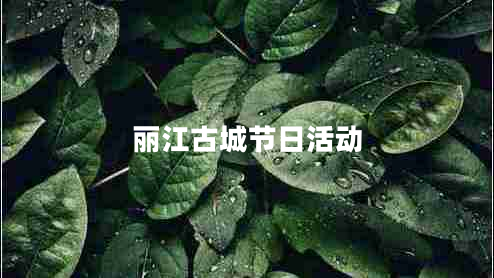麗江古城節(jié)日活動(dòng)