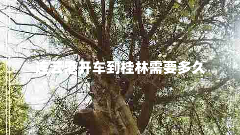 連云港開(kāi)車(chē)到桂林需要多久